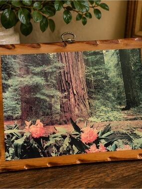 Botanical Pink Blossom Forest Photography Print